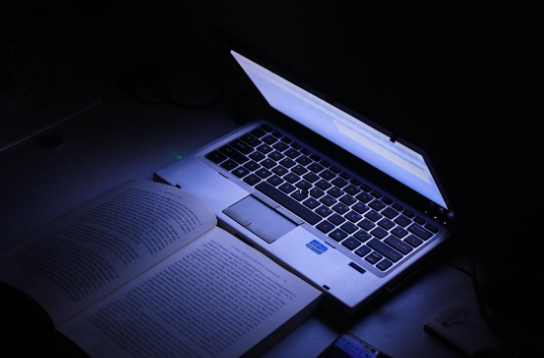 Productivity is based on the conditions in the environment. Photo by Gery Wibowo, Unsplash.